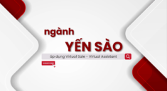 Ứng dụng Virtual Sale - Virtual Assistant vào ngành kinh doanh Yến - Yến Sào